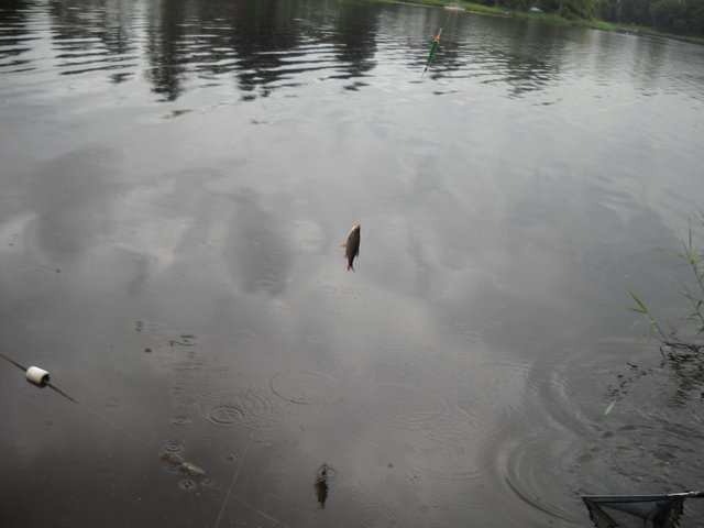 120729-017.jpg