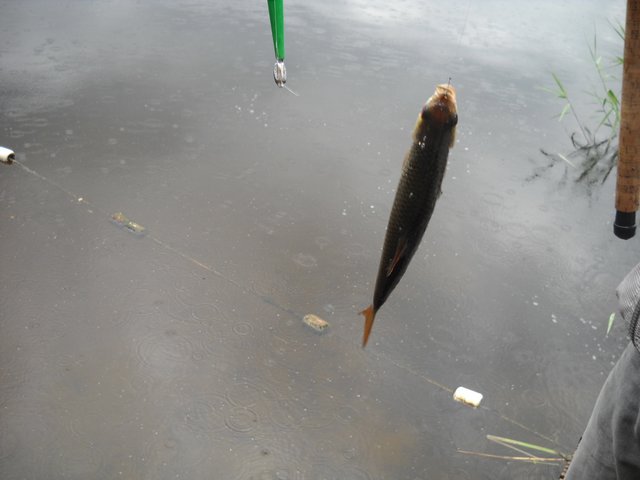 120729-020.jpg