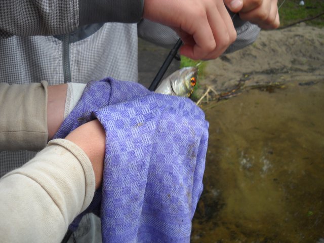120729-023.jpg