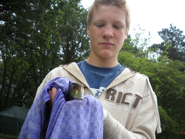 120729-024.jpg