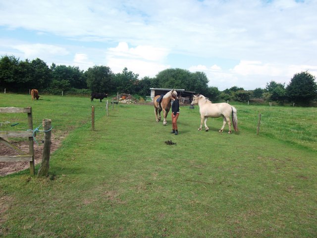 120730-017.jpg