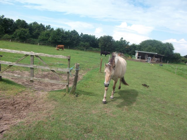120730-018.jpg