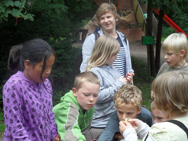 120731-083.jpg