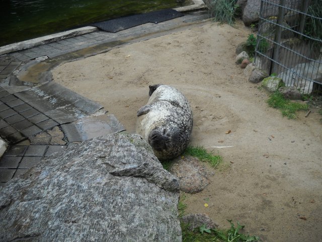 120730-173.jpg