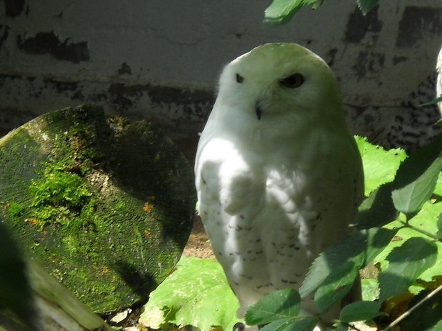 120730-192.jpg